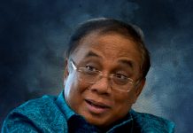 Hutan Tanaman Energi, Terobosan Energi Terbarukan