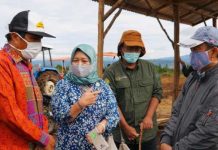 Kemenko Marves Undang Dua Mantan Menteri di Acara Evaluasi Kinerja Kuartal III 2020