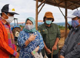 Kemenko Marves Undang Dua Mantan Menteri di Acara Evaluasi Kinerja Kuartal III 2020