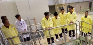 Pembubaran BATAN Ancam Pengembangan Energi Nuklir