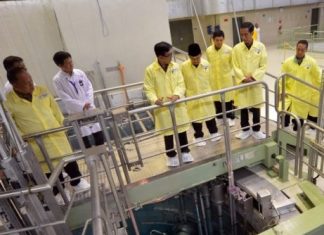 Pembubaran BATAN Ancam Pengembangan Energi Nuklir