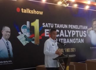 Eucalyptus Sebagai Obat Covid-19 Selesai Uji Klinis Tahap II
