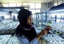 Inspirasi dari Perempuan Peneliti