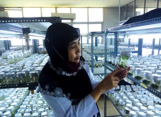 Inspirasi dari Perempuan Peneliti