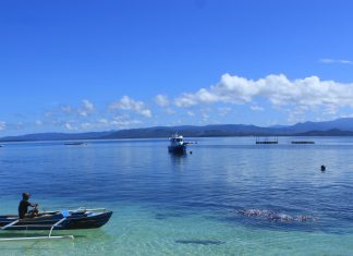 Strategi Pembangunan Lumbung Ikan Nasional