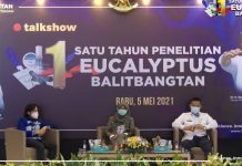 Eucalyptus Mampu Redakan Badai Sitokin Pada Penderita Covid-19