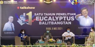 Eucalyptus Mampu Redakan Badai Sitokin Pada Penderita Covid-19