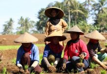 Mengukuhkan Eksistensi dengan Kolaborasi: “Lesson Learned” dari BPTP Jabar