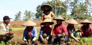 Mengukuhkan Eksistensi dengan Kolaborasi: “Lesson Learned” dari BPTP Jabar