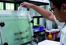 Melihat Model Kelembagaan Riset dari Negara Lain