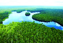 Menurunkan Emisi di Perairan Indonesia