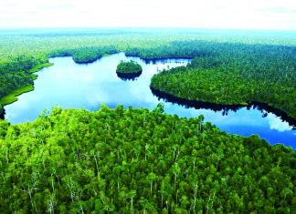 Menurunkan Emisi di Perairan Indonesia