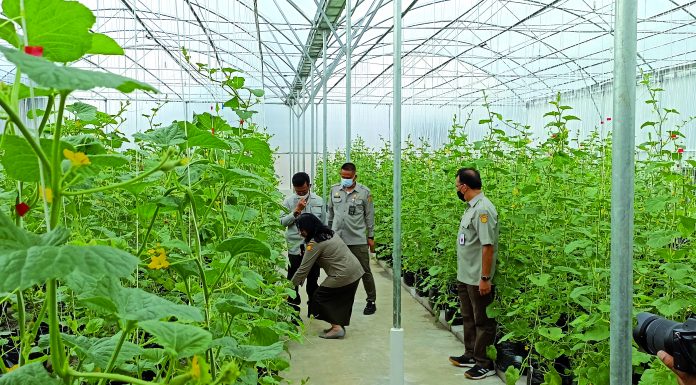 Siasati Perubahan Iklim, Balitbangtan Kembangkan Pertanian Presisi