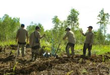 Butuh Bertahun-tahun Pulihkan Lahan Basah