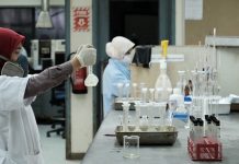 Agar Brain Drain Tidak Terjadi