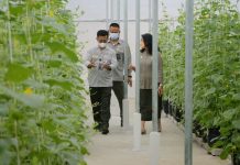 Pertanian Cerdas Iklim Inovatif, Strategi Menjaga Ketahanan Pangan