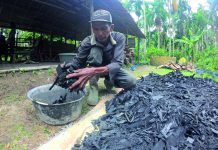 Briket dari Limbah Pelepah Pinang