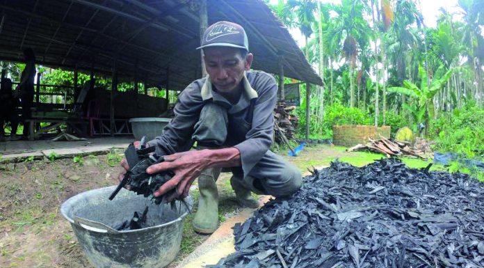 Briket dari Limbah Pelepah Pinang