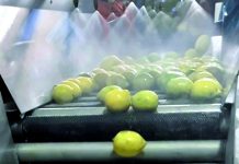 Jaga Kesegaran Buah dengan Produk Turunan Sawit