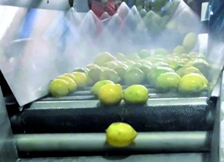 Jaga Kesegaran Buah dengan Produk Turunan Sawit