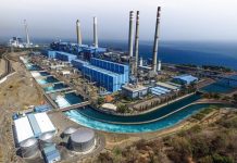 Sudah Tepatkah Co-firing Biomassa di PLTU?