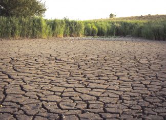 Perubahan Iklim Ancam Ketahanan Pangan