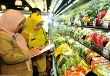 Merdeka dari Produk Impor