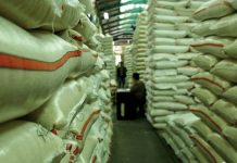 Tujuh Strategi Menangkal Krisis Pangan