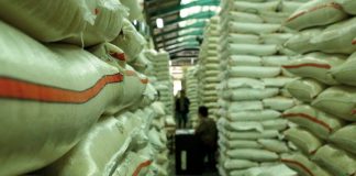 Tujuh Strategi Menangkal Krisis Pangan