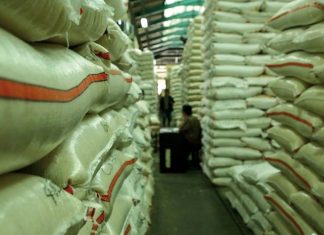 Tujuh Strategi Menangkal Krisis Pangan