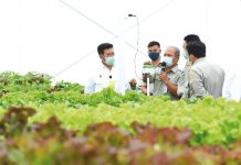 Balitbangtan Siap Lakukan Pengujian Standardisasi Screenhouse