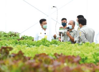 Balitbangtan Siap Lakukan Pengujian Standardisasi Screenhouse