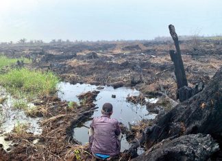 Melihat Implementasi Pajak Karbon di Indonesia