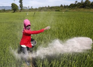 SNI Pupuk Tingkatkan Kualitas Pangan