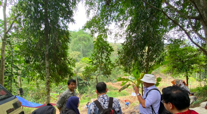 Kemenko Marves Dampingi Daiwatech Tinjau Lokasi Pembangunan Rumah Hijau